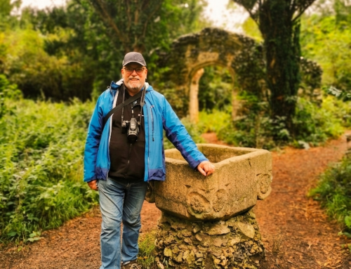 The Altar of the Ordinary: Why I traded the temple for the trees