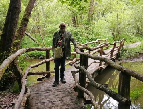 The Pathless Way: Why I Left the Secret Circles for the Simple Heart
